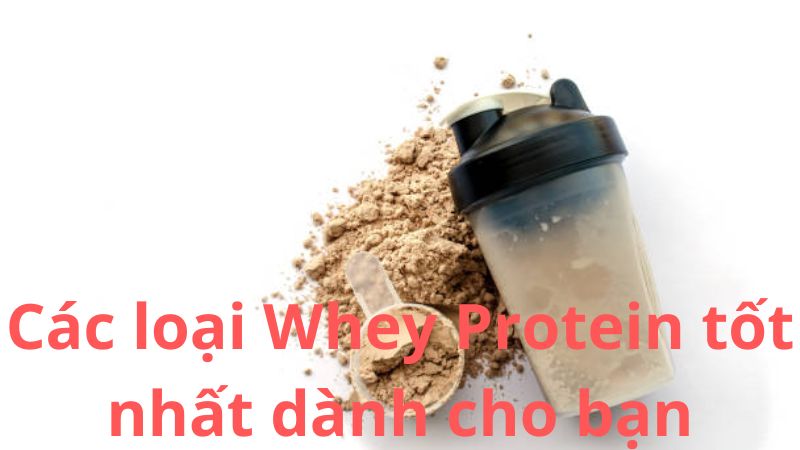 Các loại Whey Protein tốt nhất dành cho bạn